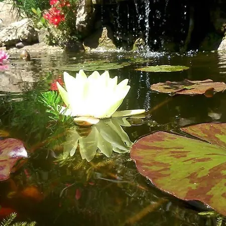 Estalagem Rural El Hondal