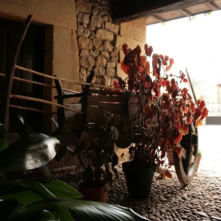 Inn Rural El Hondal Rudaguera