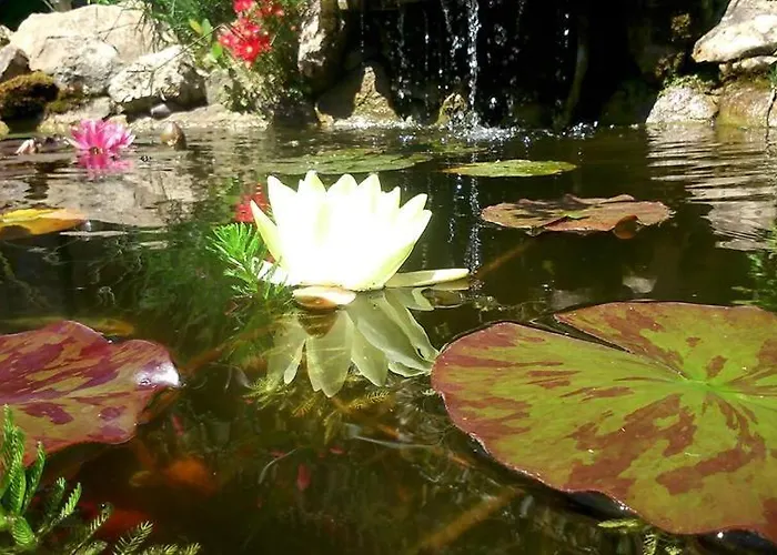 Gasthof Rural El Hondal